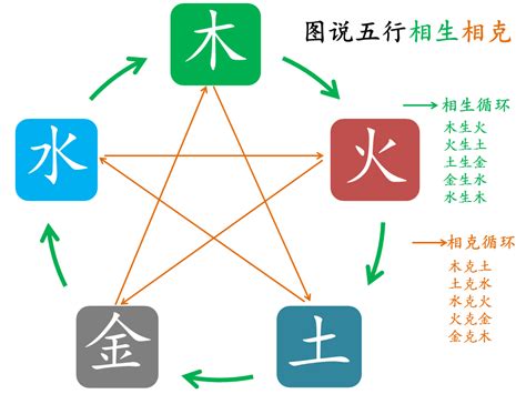 什么克木|五行属木与什么相生相克